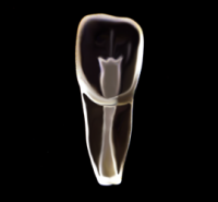 BelDentalHouse prevencija